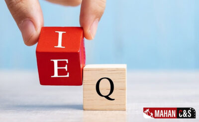 نقش هوش هیجانی در موفقیت شغلی